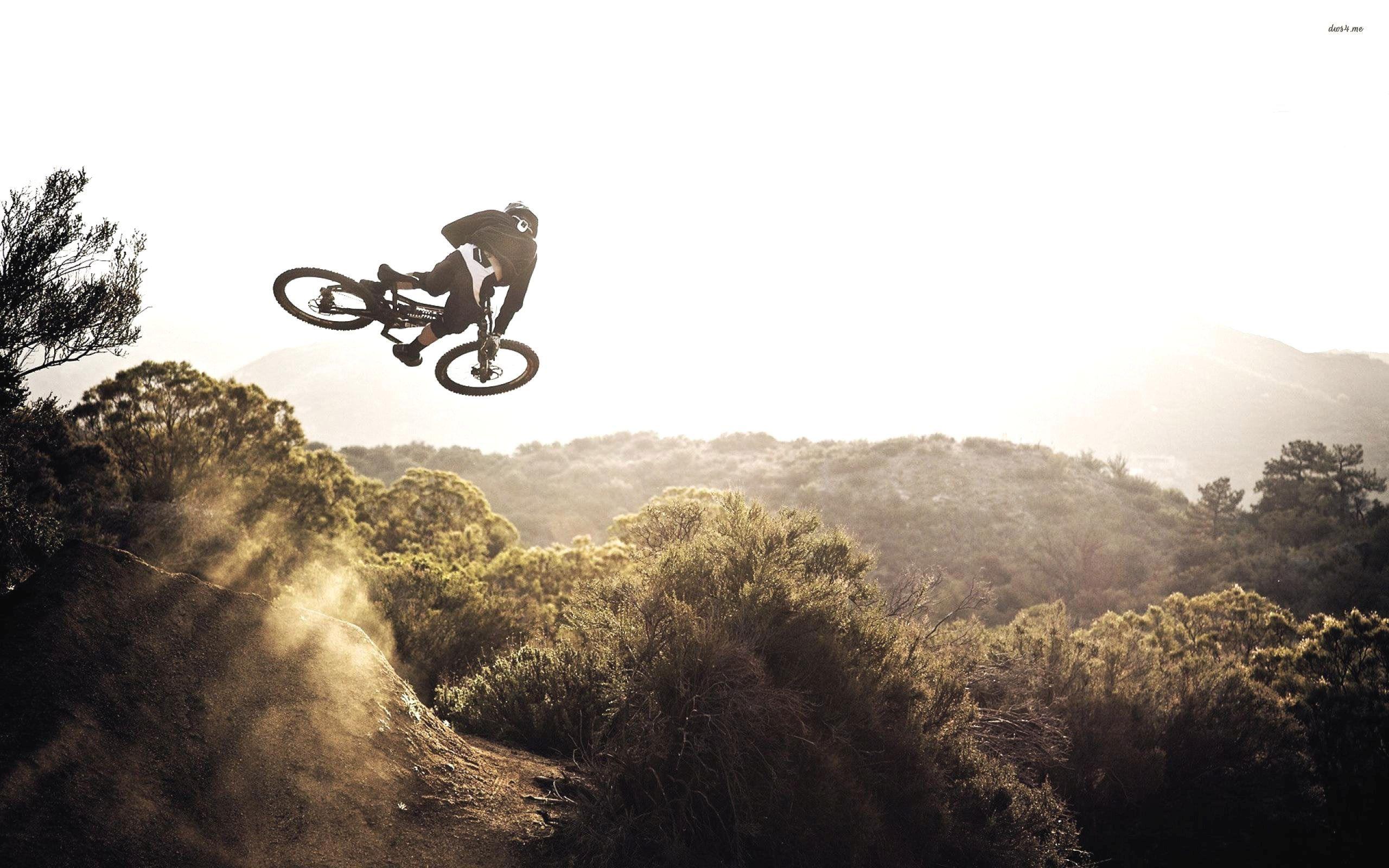 2560x1600 Mountain biking wallpaper wallpaper