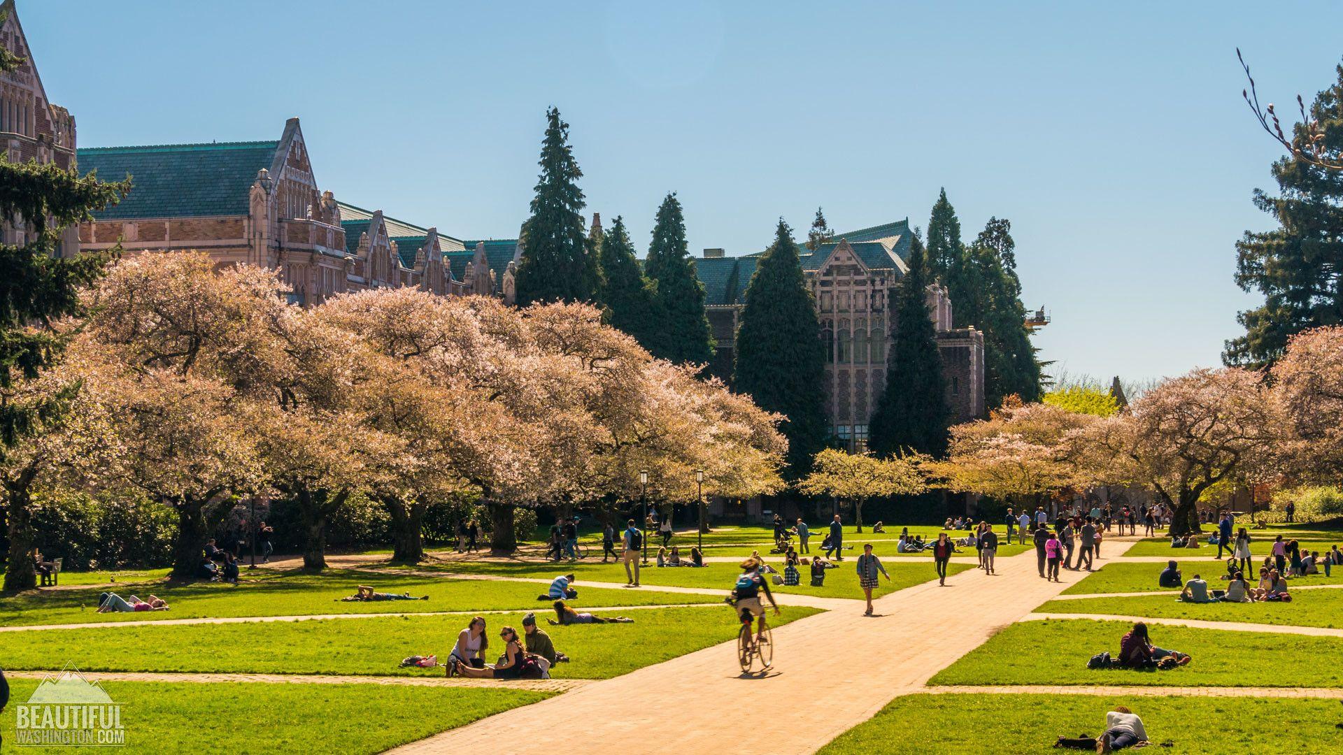 University Of Washington Wallpapers - Top Free University Of Washington ...