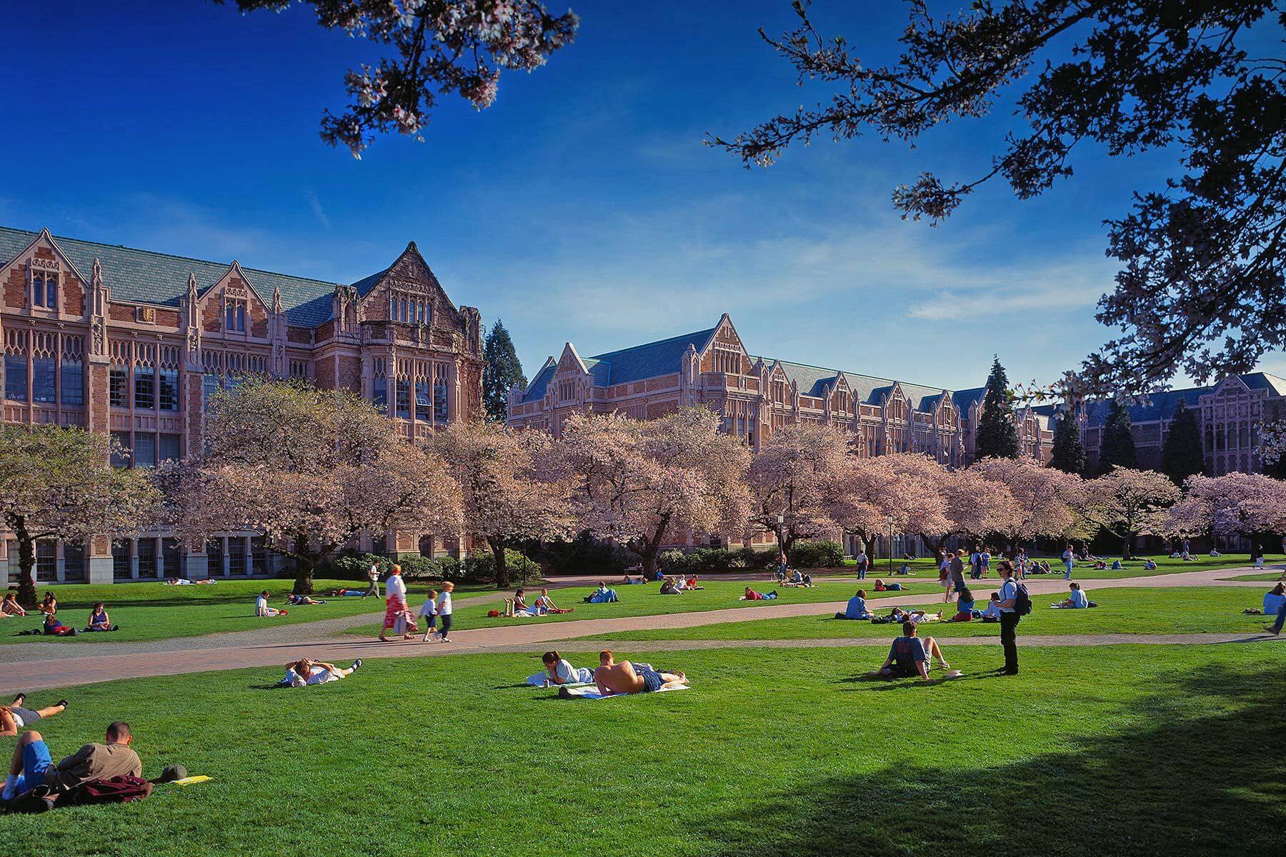 University of Washington Wallpapers - Top Free University of Washington