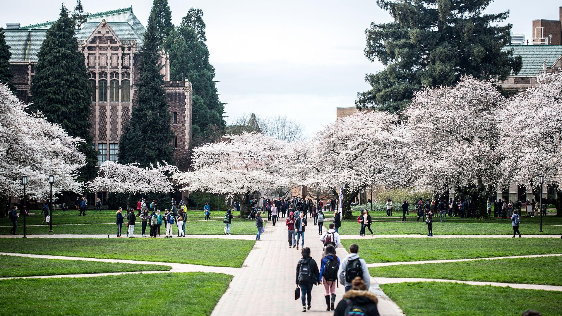 University of Washington Wallpapers Top Free University of Washington