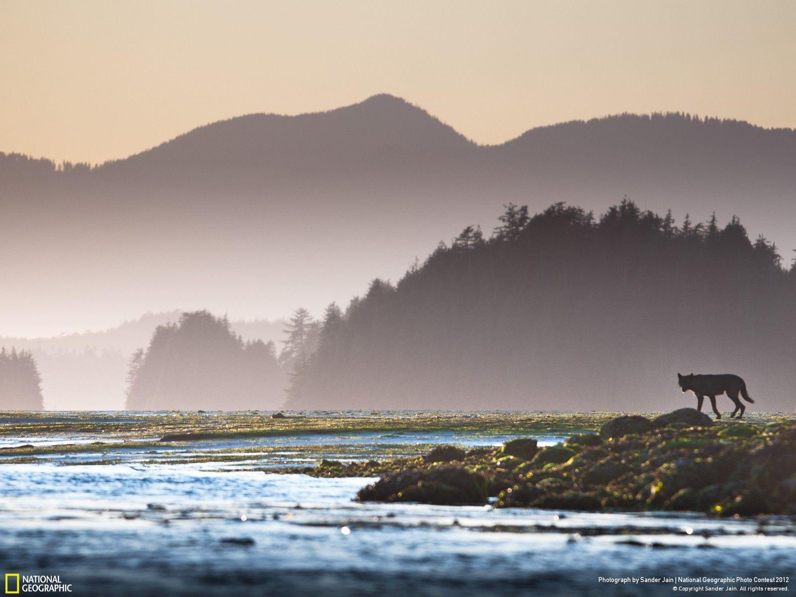 1600x1200 Pacific Northwest Wallpaper. Pacific Rim