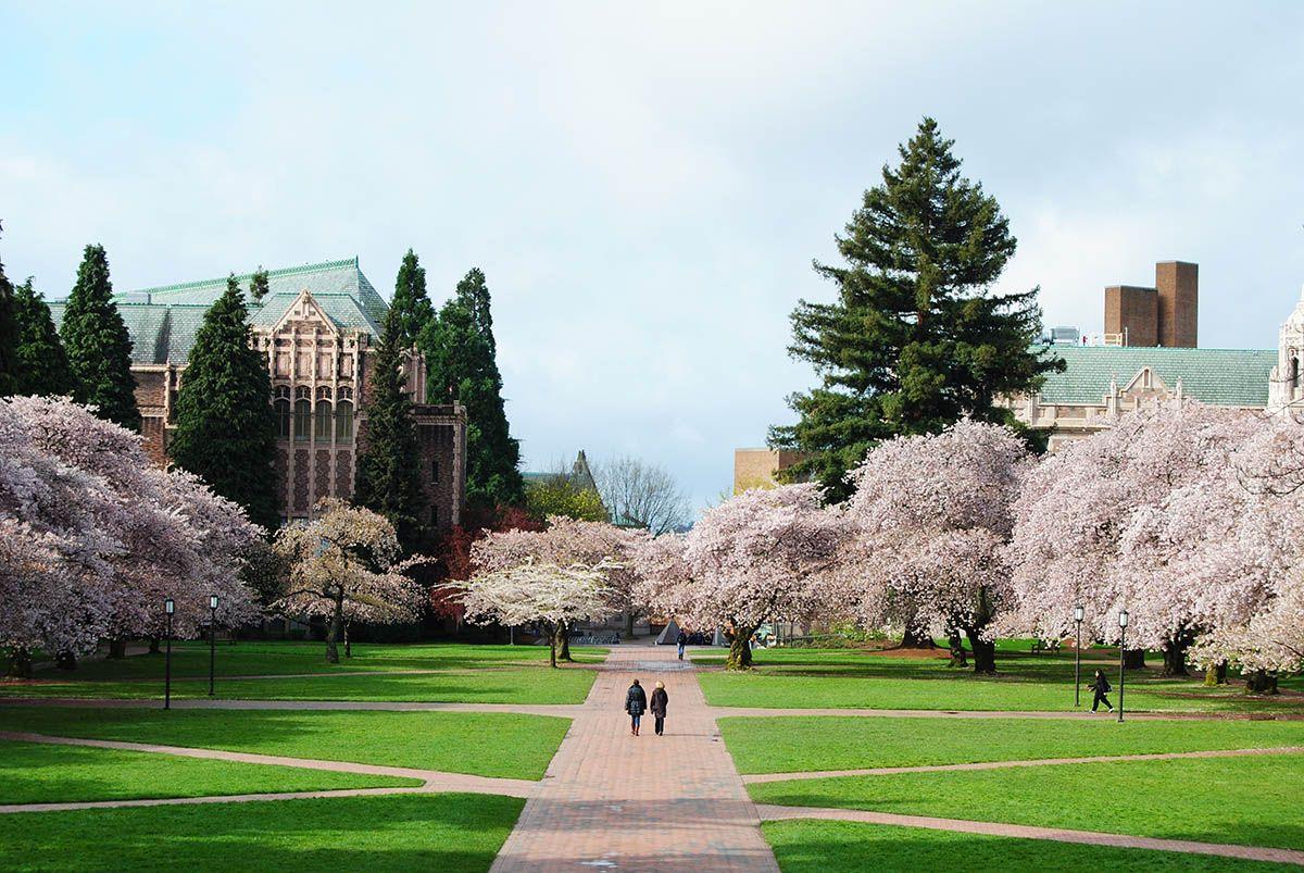 University of Washington Wallpapers - Top Free University of Washington ...