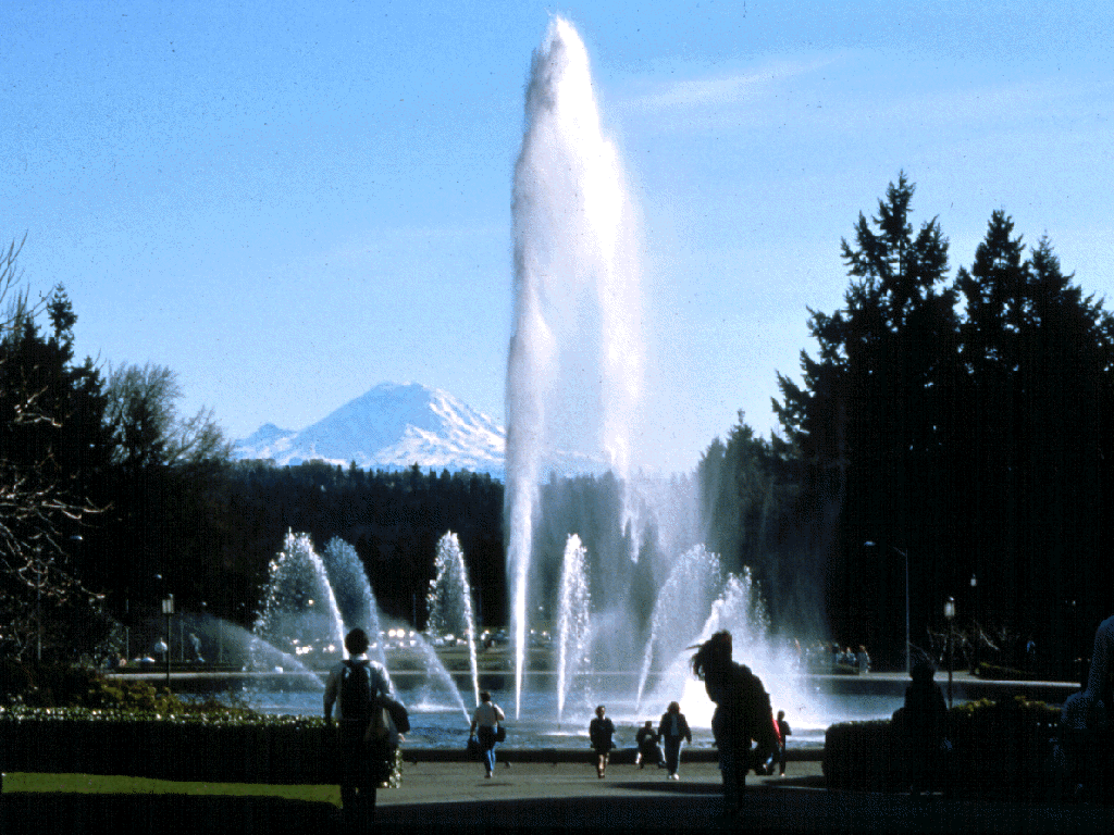 1024x768 Free download University of Washington Photo [1024x768]