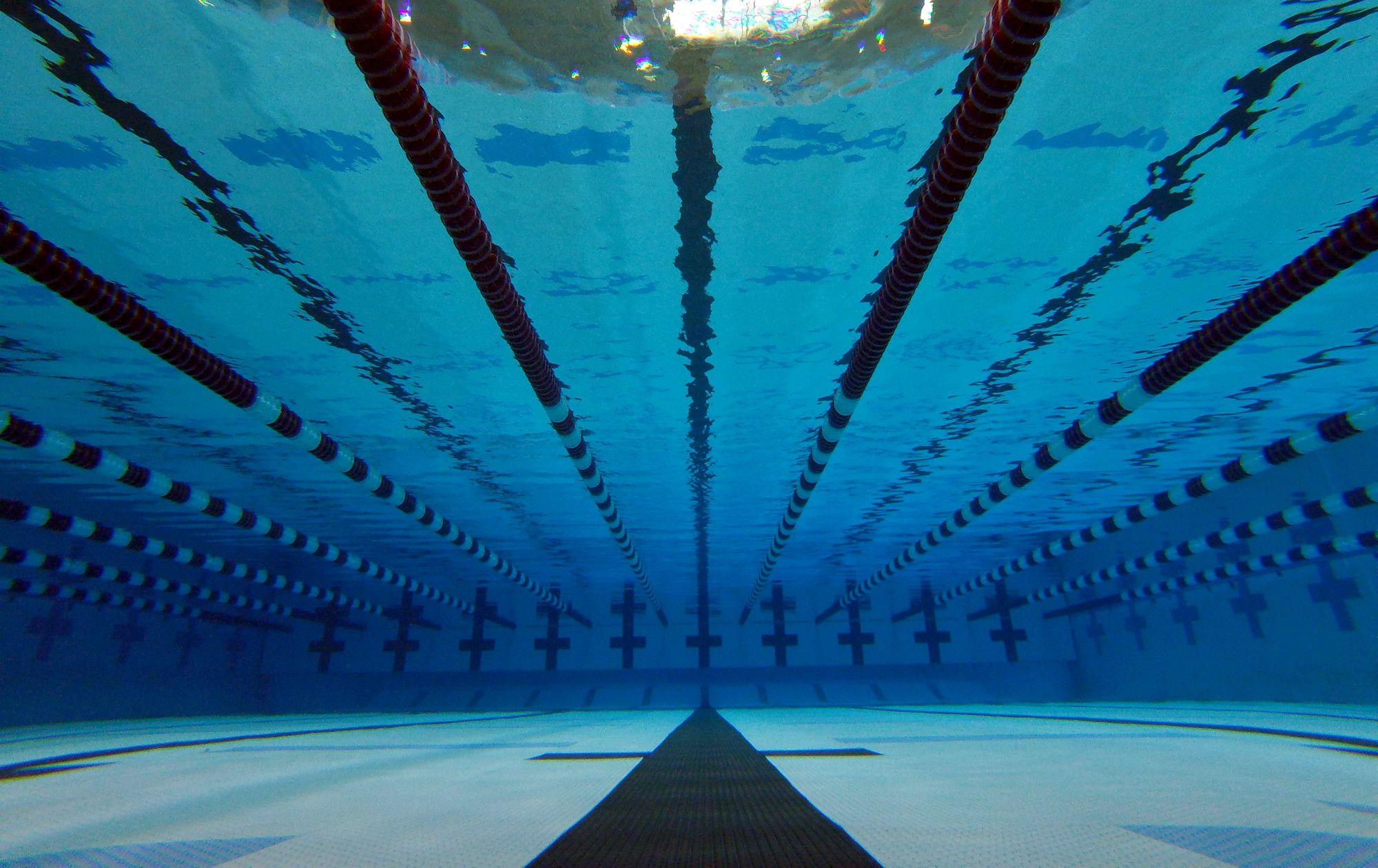 Swimming & Diving - University of Tennessee Athletics