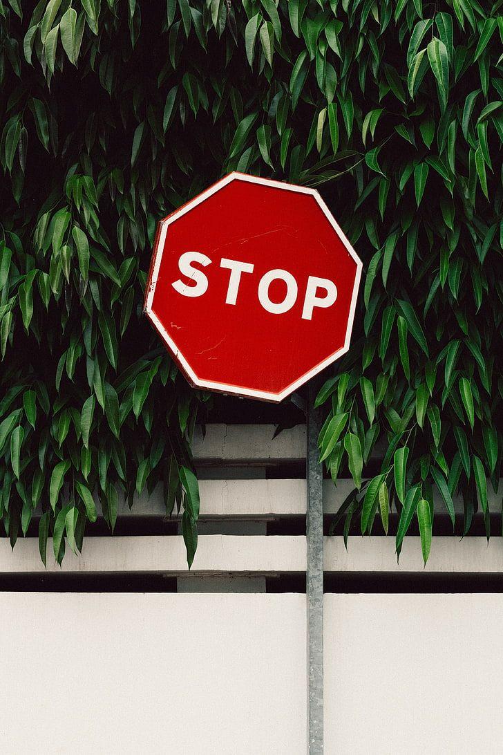 Stop Sign Wallpapers - Top Free Stop Sign Backgrounds - WallpaperAccess