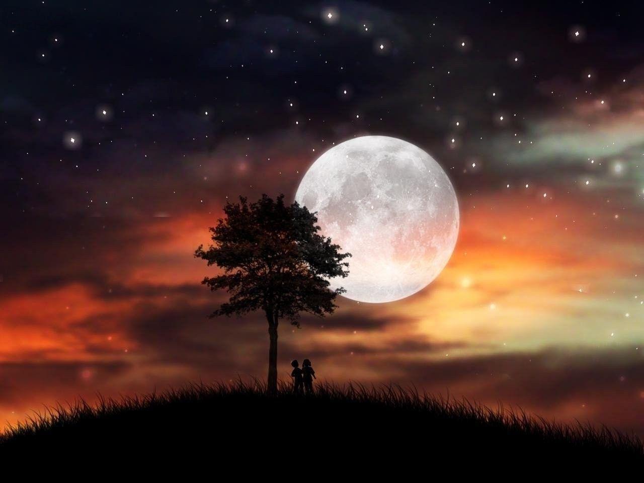 1280x960 MOON NIGHT Sunset Grass Stars Clouds Couple Sky Lanterns Wallpaper