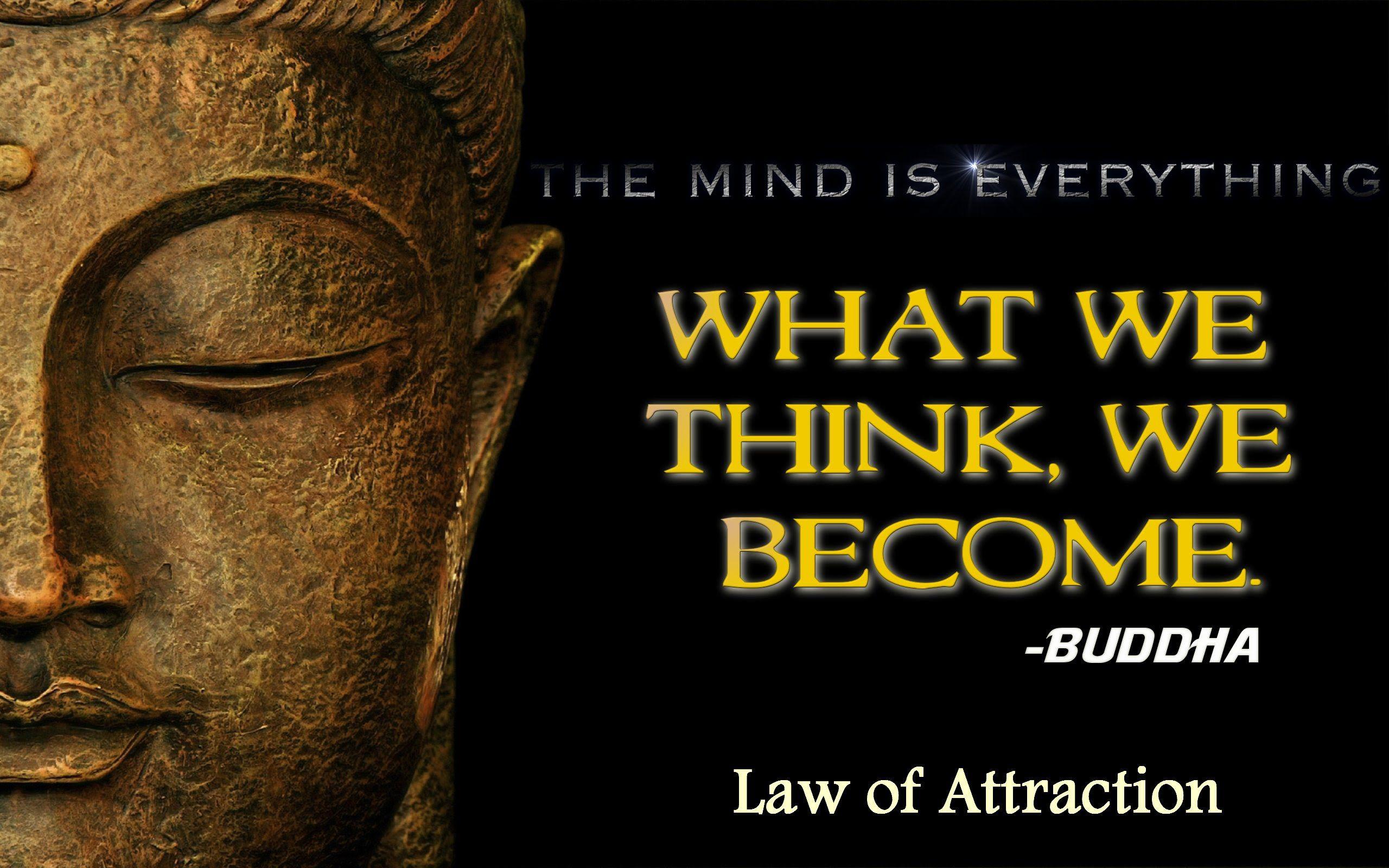 dave law of attraction videos