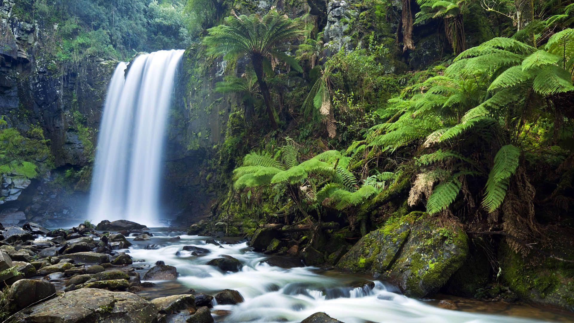 1920x1080 Free Waterfall Wallpaper High Quality