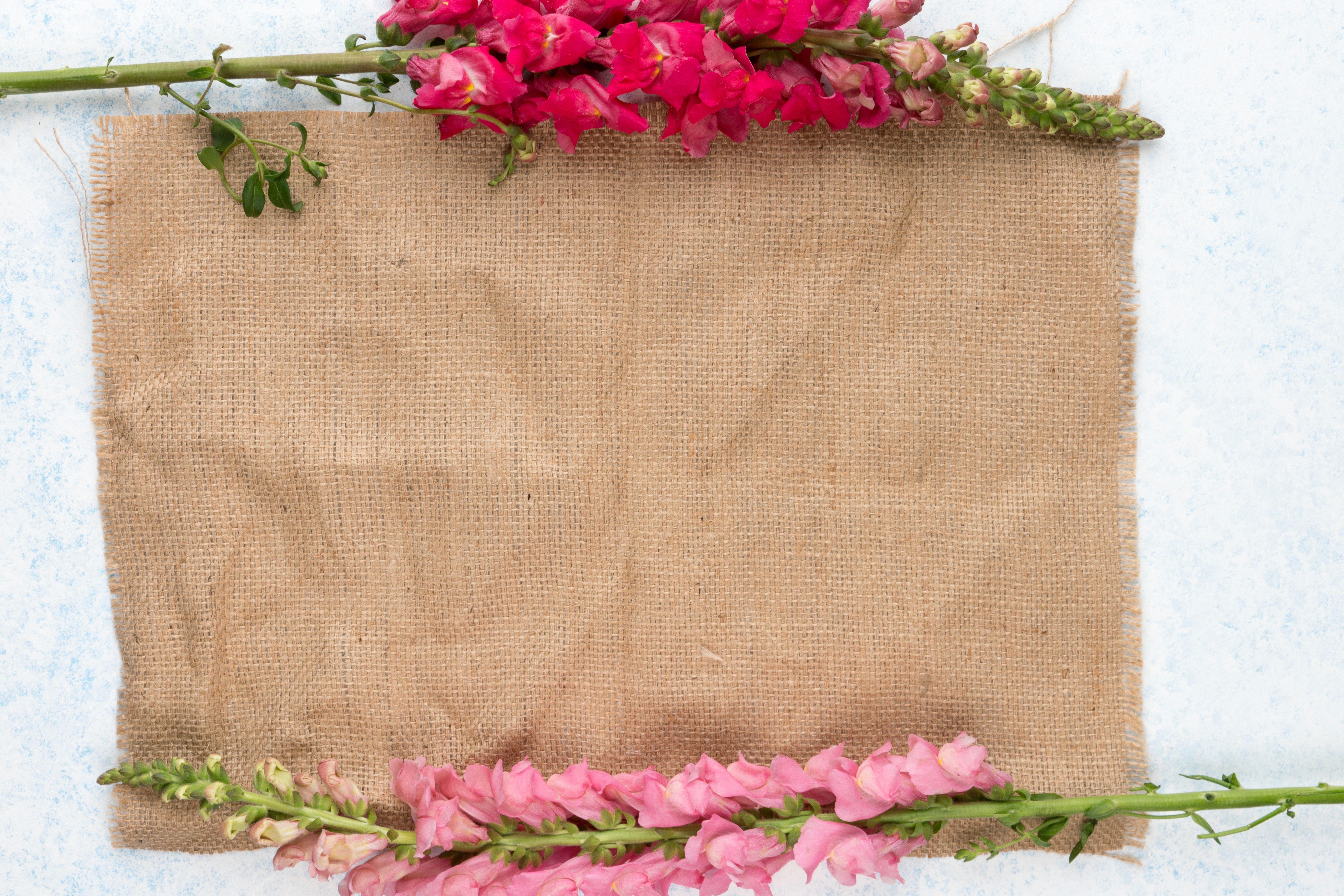 7952x5301 7952x5301 #flatlay, #flower, #flowers pink, #earthy