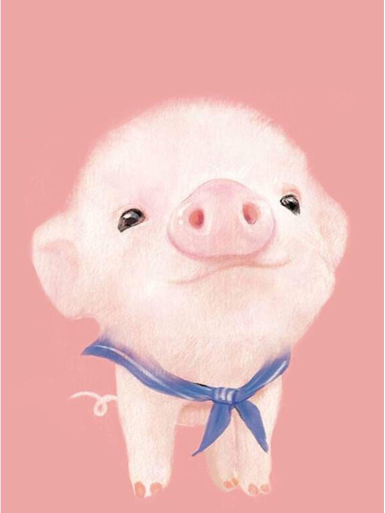 Kawaii Cute Pigs Wallpapers - Top Free