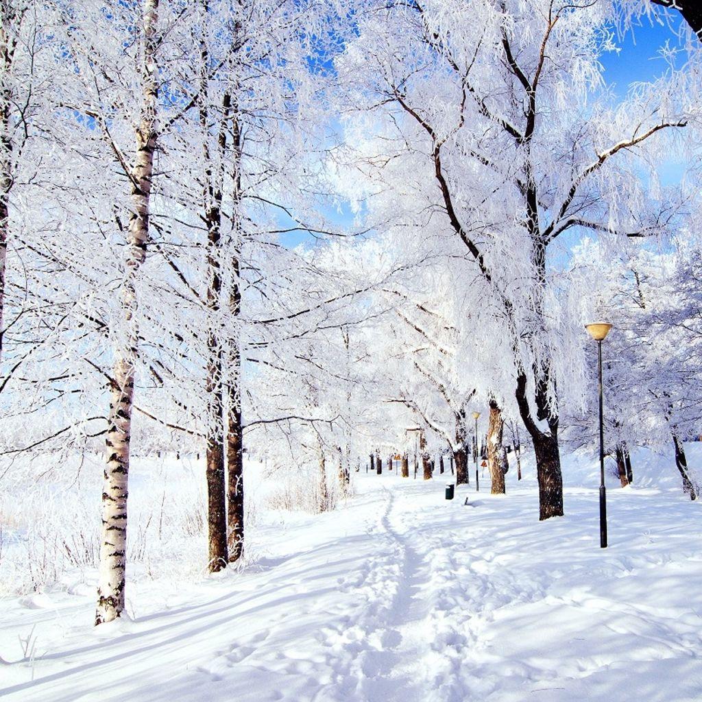 Snowy Winter Wallpaper  High Definition High Resolution HD Wallpapers   High Definition High Resolution HD Wallpapers
