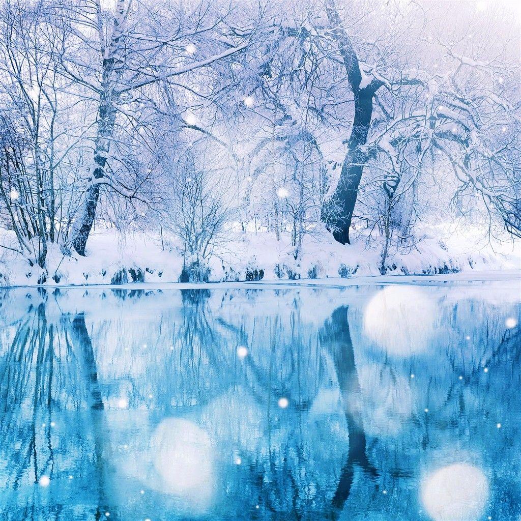 1024x1024 Free winter iPad wallpaper