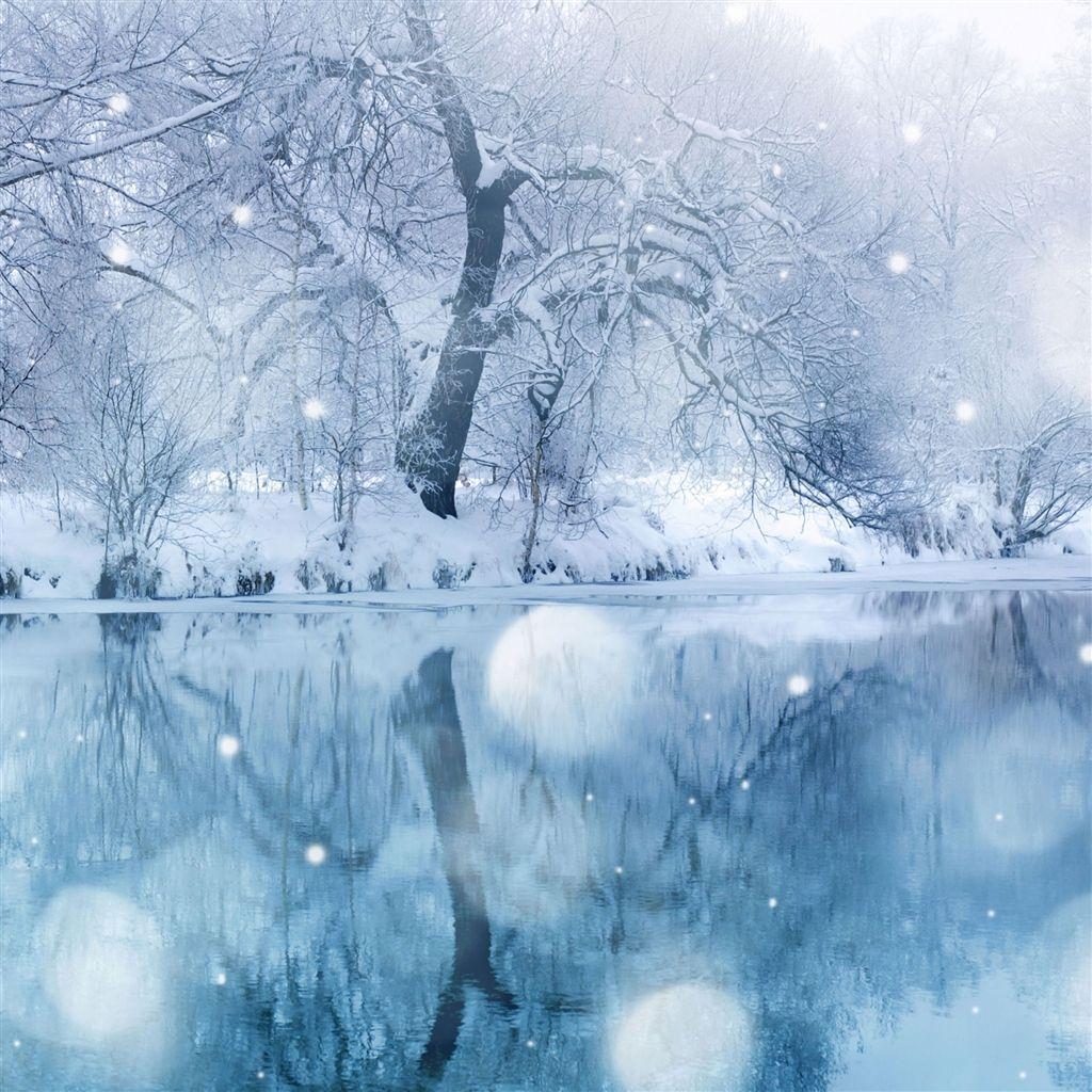 1024x1024 Free download Winter iPad Wallpaper iPhone [1024x1024]