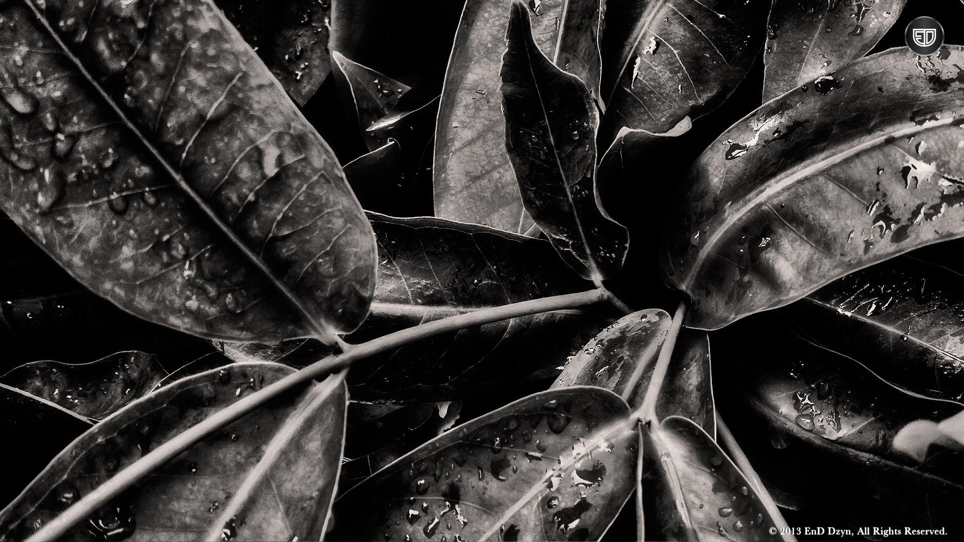 1920x1080 Abstract Art Black And White Painting Wallpaper Photography loversiq