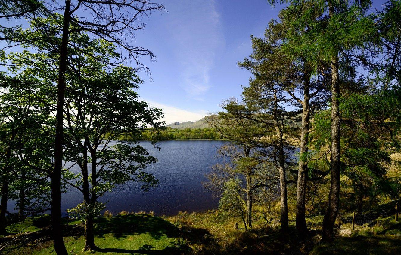 1332x850 Wallpaper trees, lake, shore, Scotland, Glasgow image for desktop