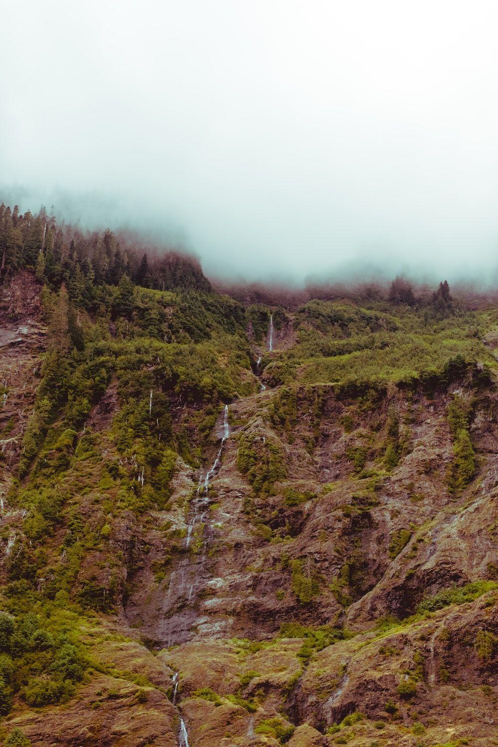 1000x1500 Olympic National Park Picture. Download Free Image