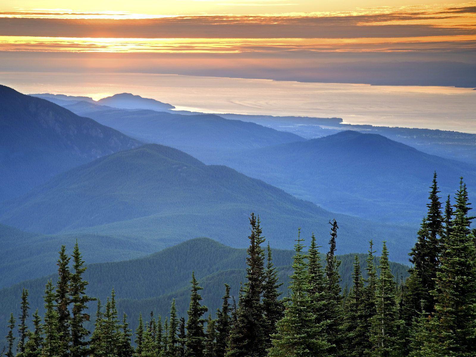 1600x1200 Olympic National Park Wallpaper