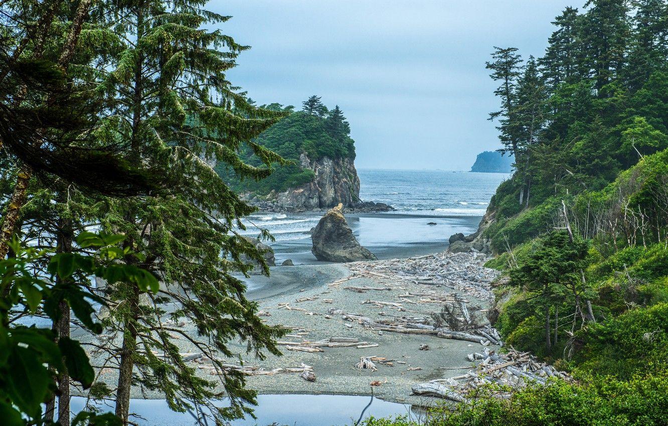 1332x850 Wallpaper sea, forest, trees, stones, rocks, coast, Washington