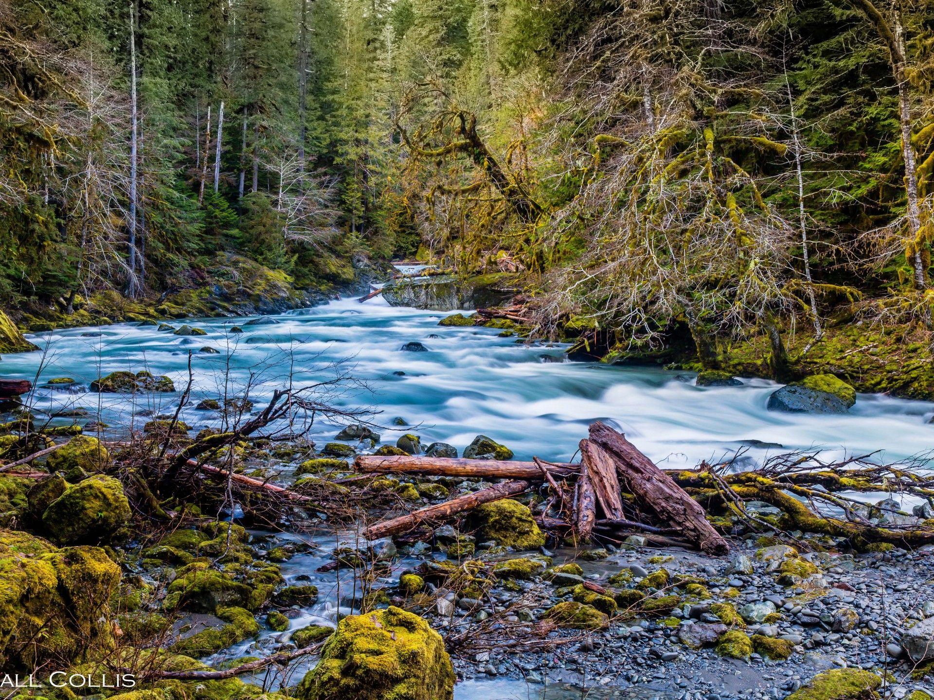1920x1440 Beautiful HD Wallpaper North Fork Skokomish River Olympic National