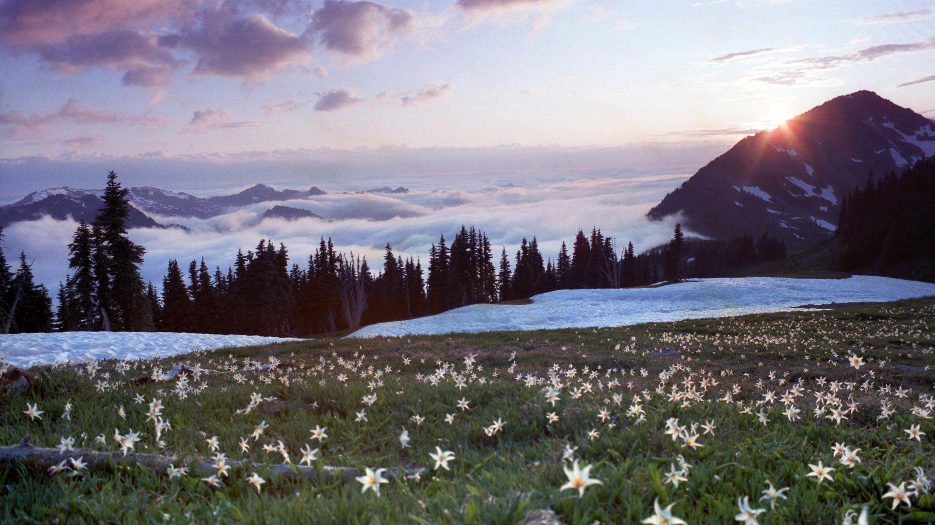 1920x1080 Olympic National Park Wallpaper