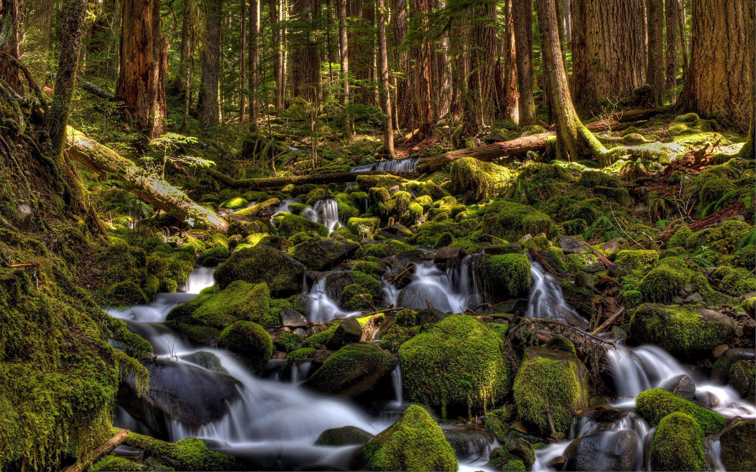 Olympic National Park Wallpapers - Wallpaper Cave: Stunning Scenery For ...