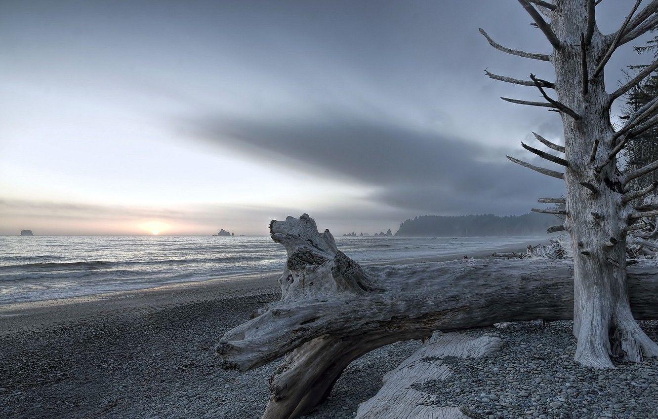 1332x850 Wallpaper landscape, Olympic National Park, Rialto Beach image