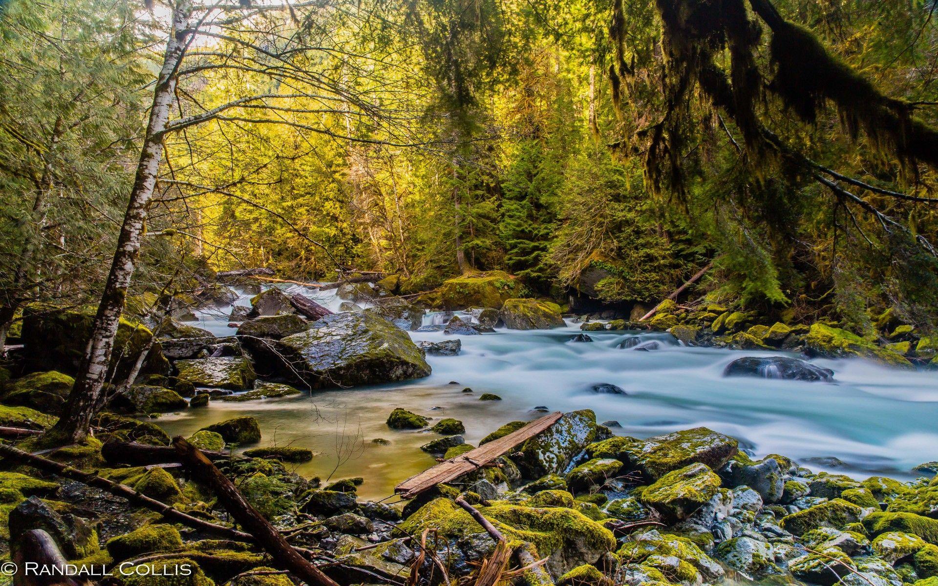 1920x1200 Mountain River North Fork Skokomish River Olympic National Park