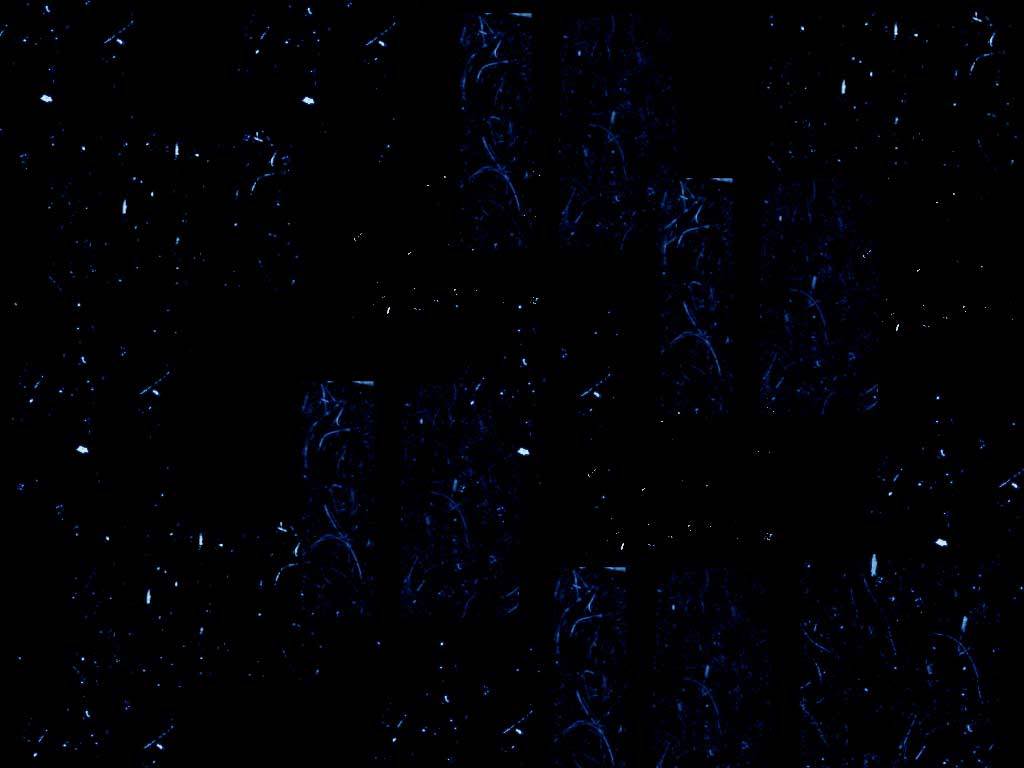 1024x768 Skull Pattern Wallpaper Tumblr