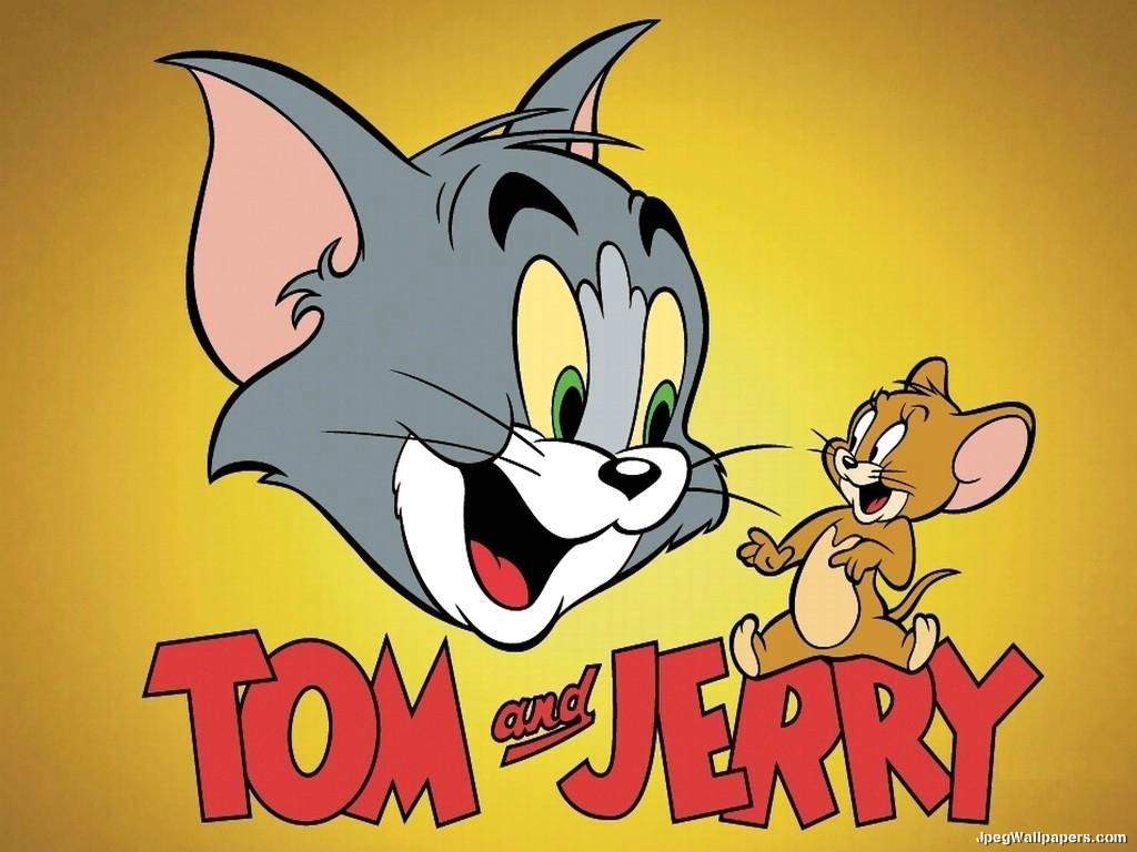 Hình nền HD 1024x768 Tom và Jerry cho iPad