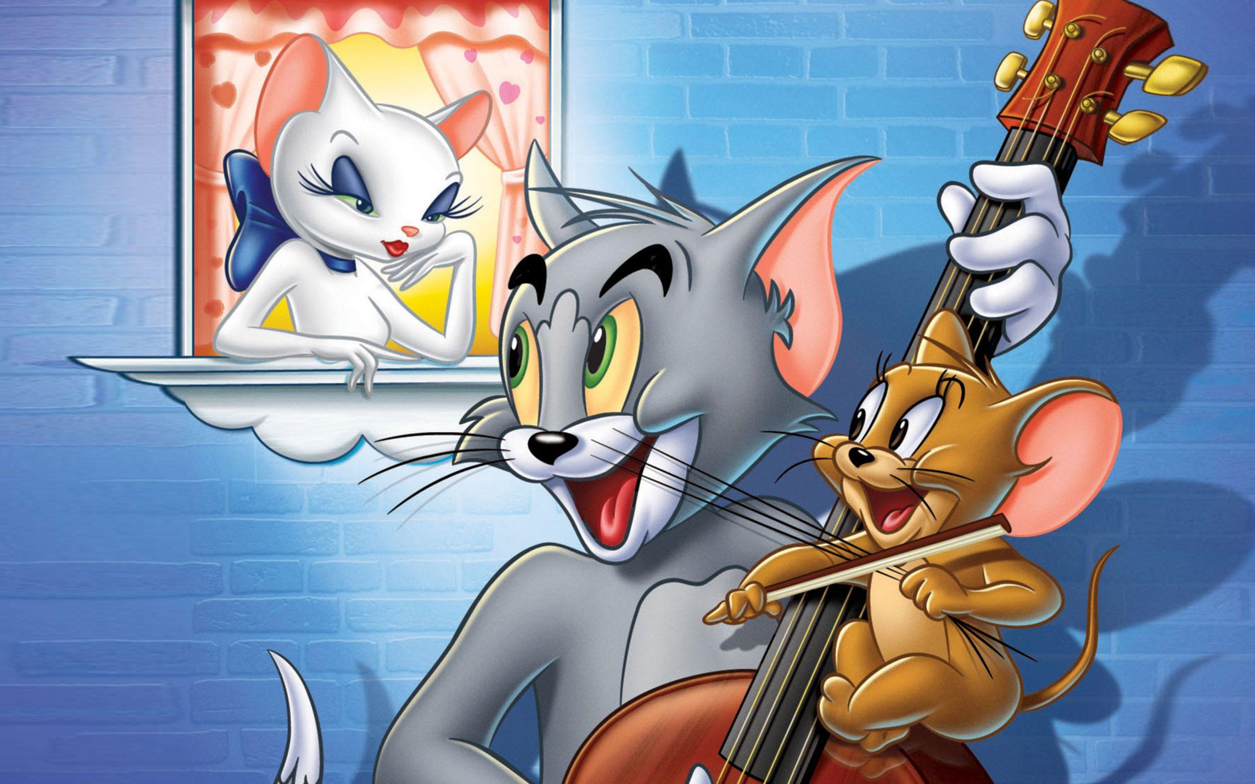 2560x1600 Cuộc phiêu lưu của Tom và Jerry Phim hoạt hình Hình nền HD cho máy tính để bàn