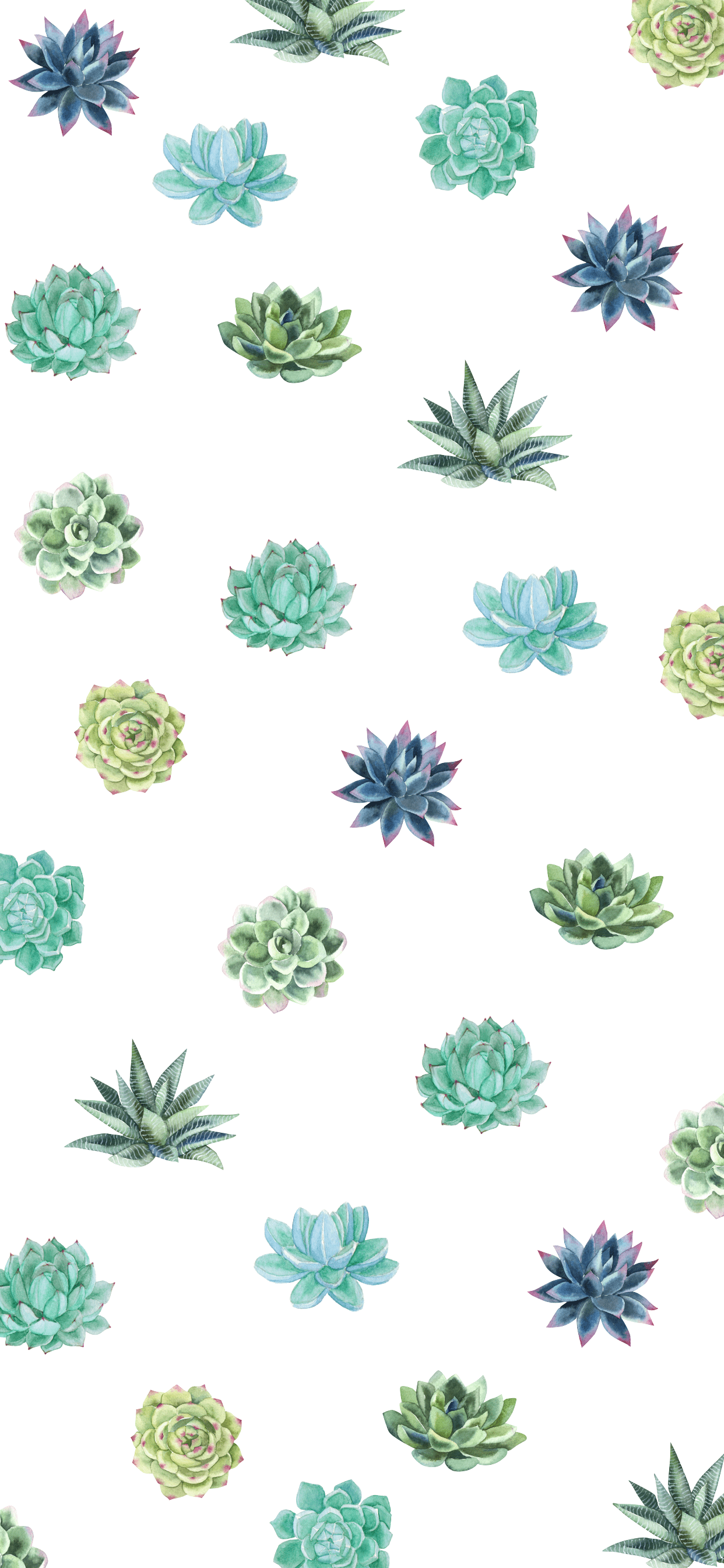 Succulent Iphone Wallpapers Top Free Succulent Iphone Backgrounds Wallpaperaccess Photos, art, growing tips, sales/trades, news, stories. succulent iphone wallpapers top free