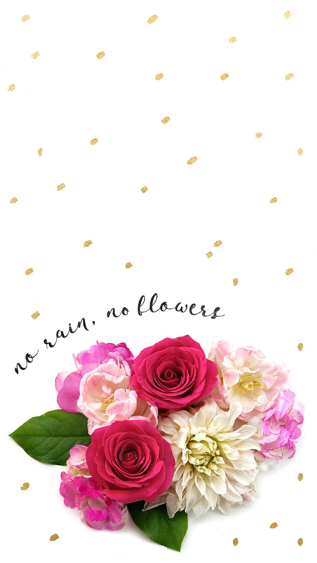 No Rain No Flowers Wallpapers  Top Free No Rain No Flowers Backgrounds   WallpaperAccess