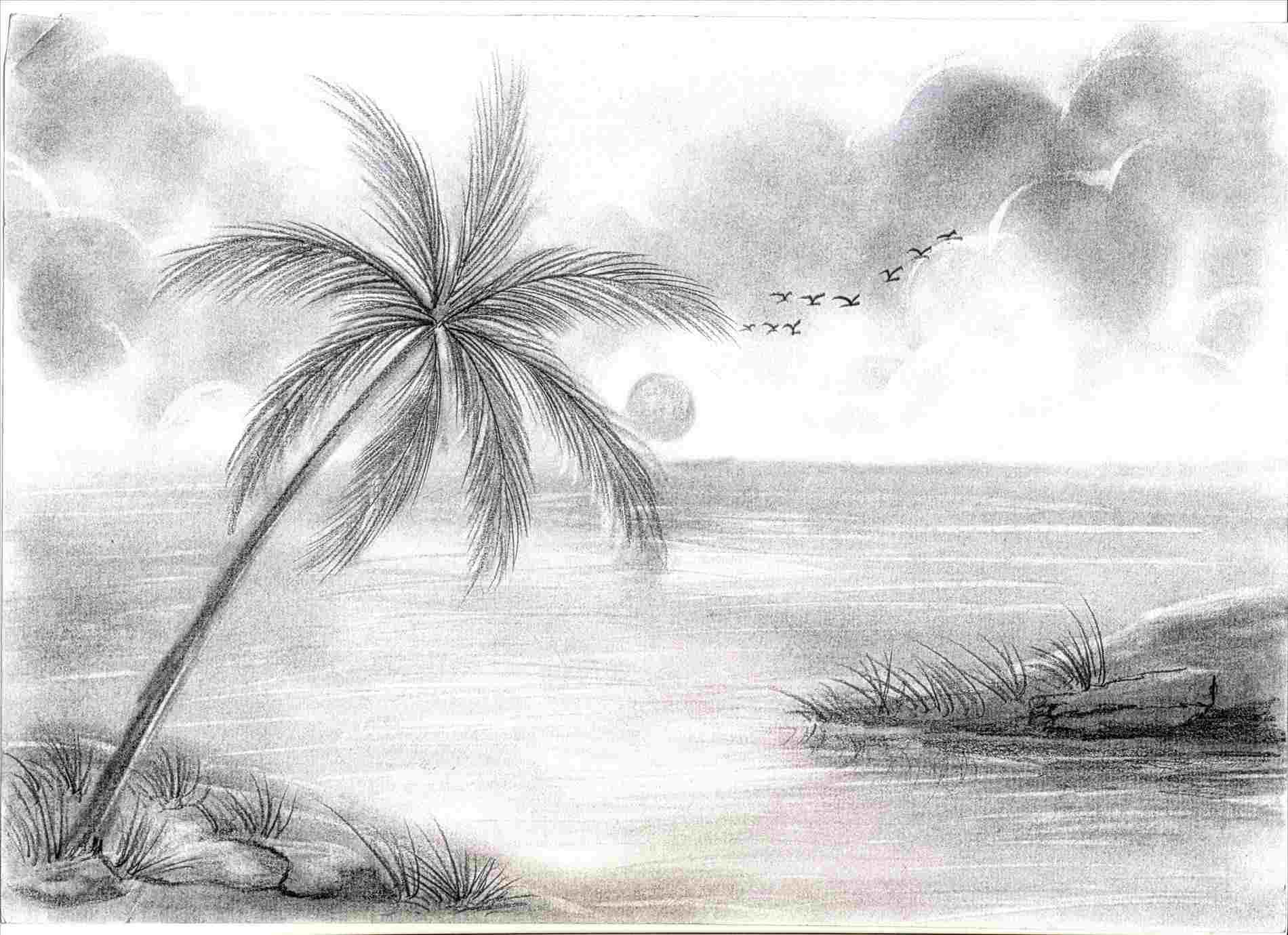 Pencil Drawings Wallpapers - Top Free Pencil Drawings Backgrounds