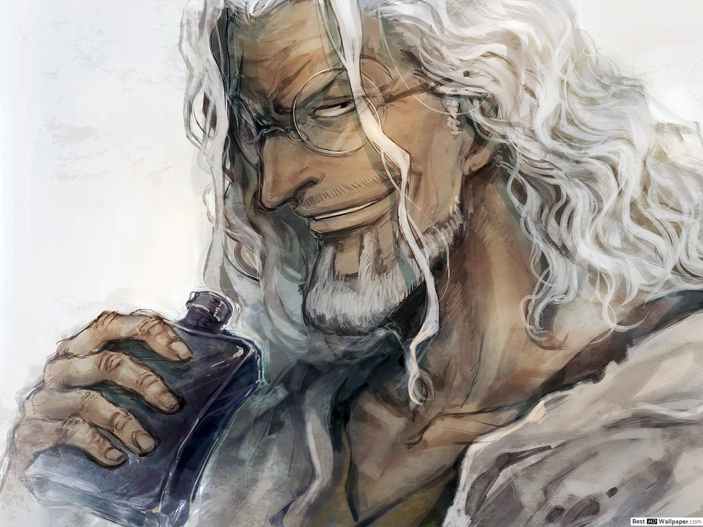 2800x2100 One Piece Rayleigh HD wallpaper download