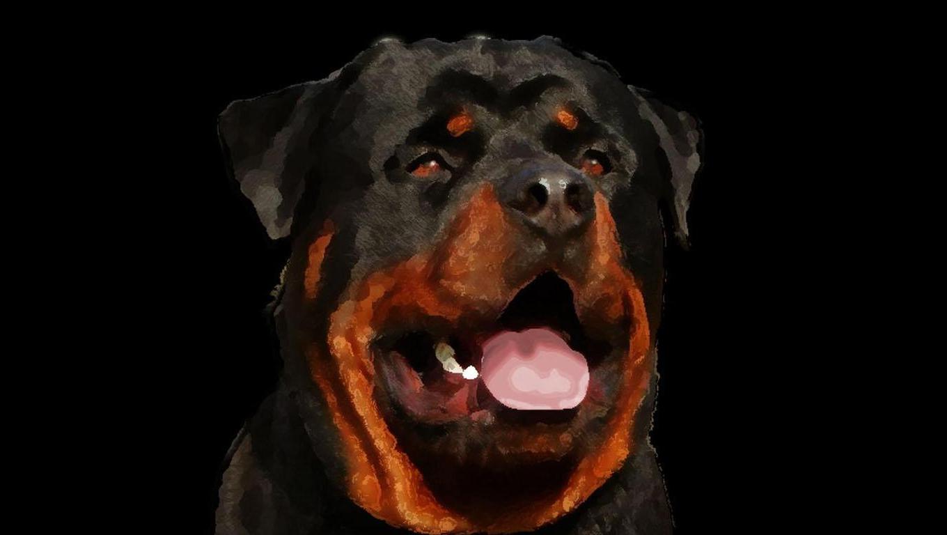 1360x768 Rottweiler Wallpaper FREE Picture