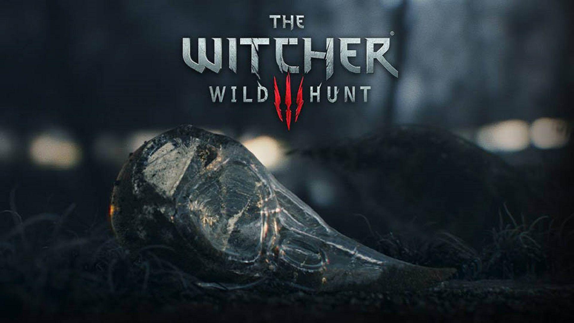 1920x1080 Nice Top Games Witcher Wild Hunt Hd Free Wallpaper