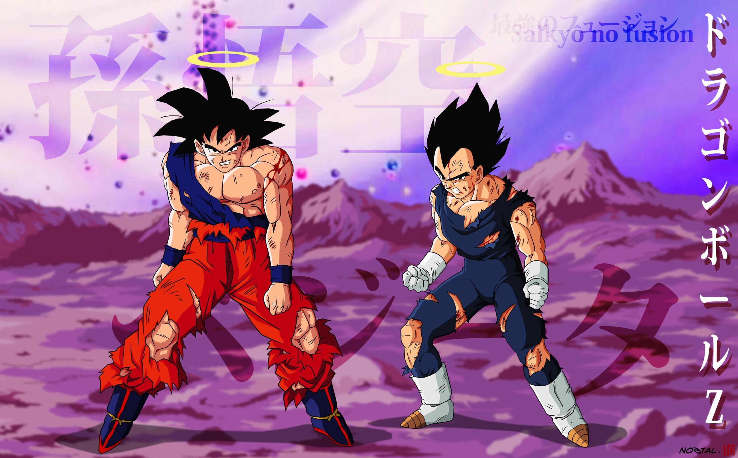 2578x1600 Vegeta goku dragon ball z wallpaperx1600
