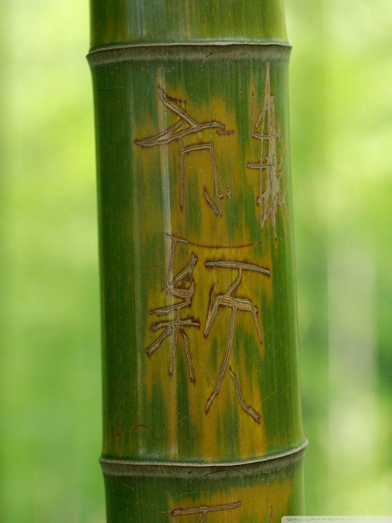 768x1024 Feng Shui Bamboo Stick Ultra HD Desktop Background Wallpaper