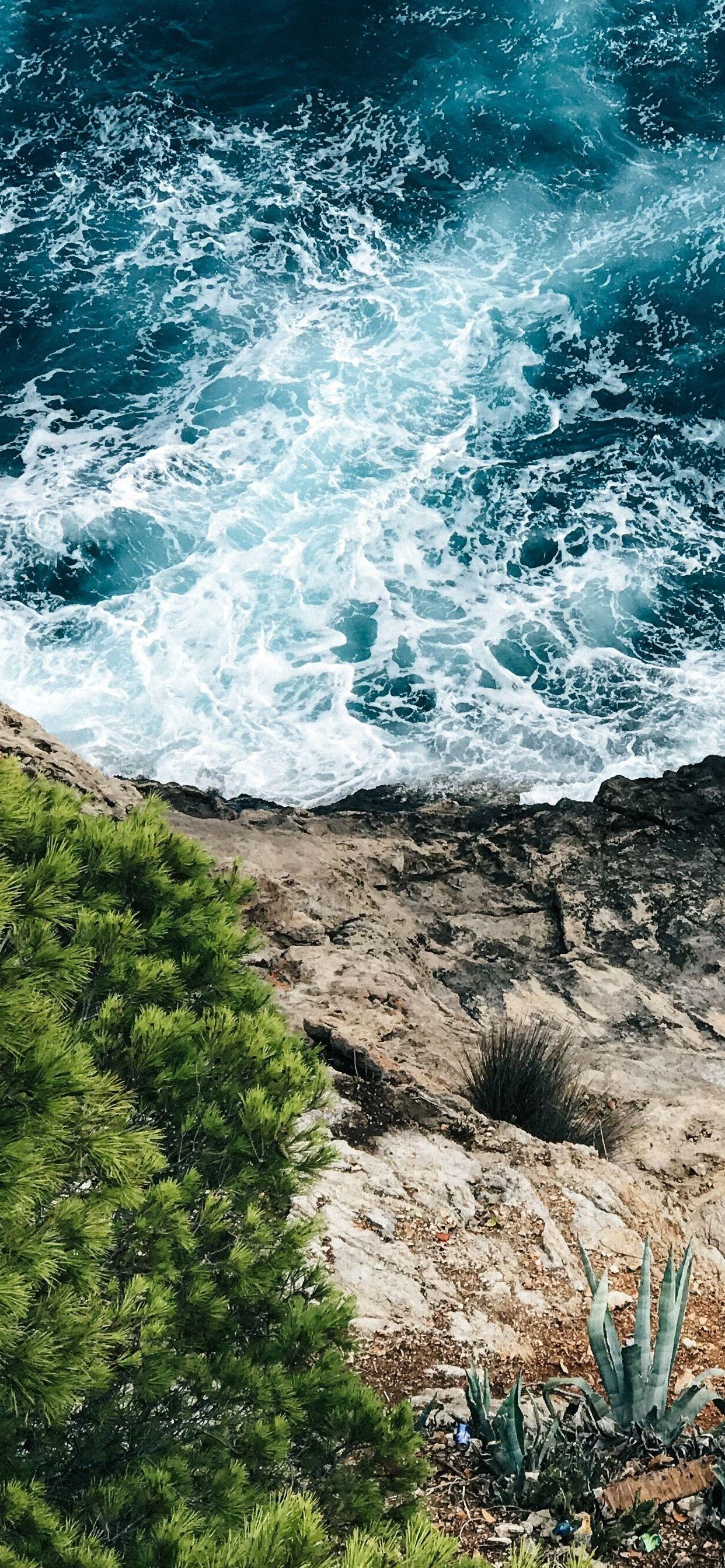 1242x2688 Sea, Foam, Coast, Grass 1242x2688 IPhone 11 Pro XS Max Wallpaper