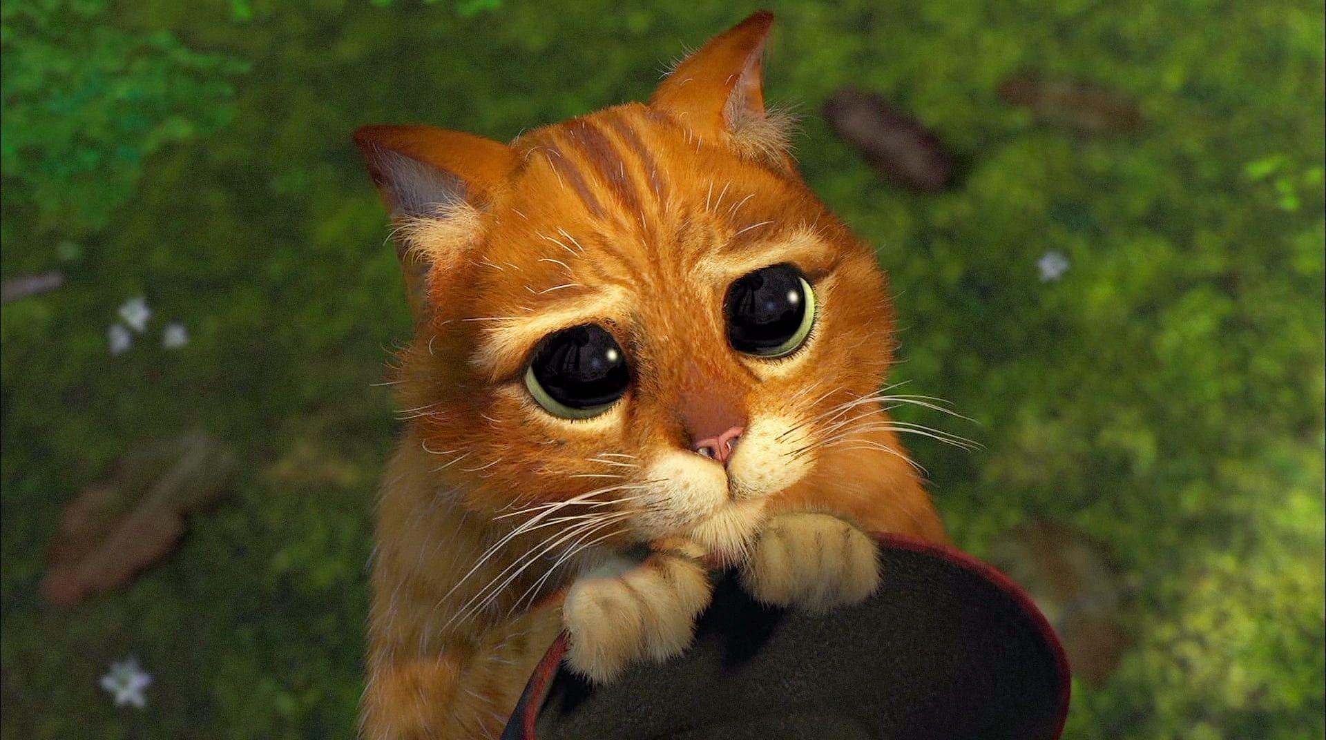 1920x1072 Puss in Boots of Shrek HD wallpaper