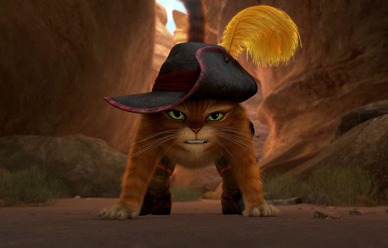 1332x850 Wallpaper cartoon, puss in boots, Puss in Boots image for desktop