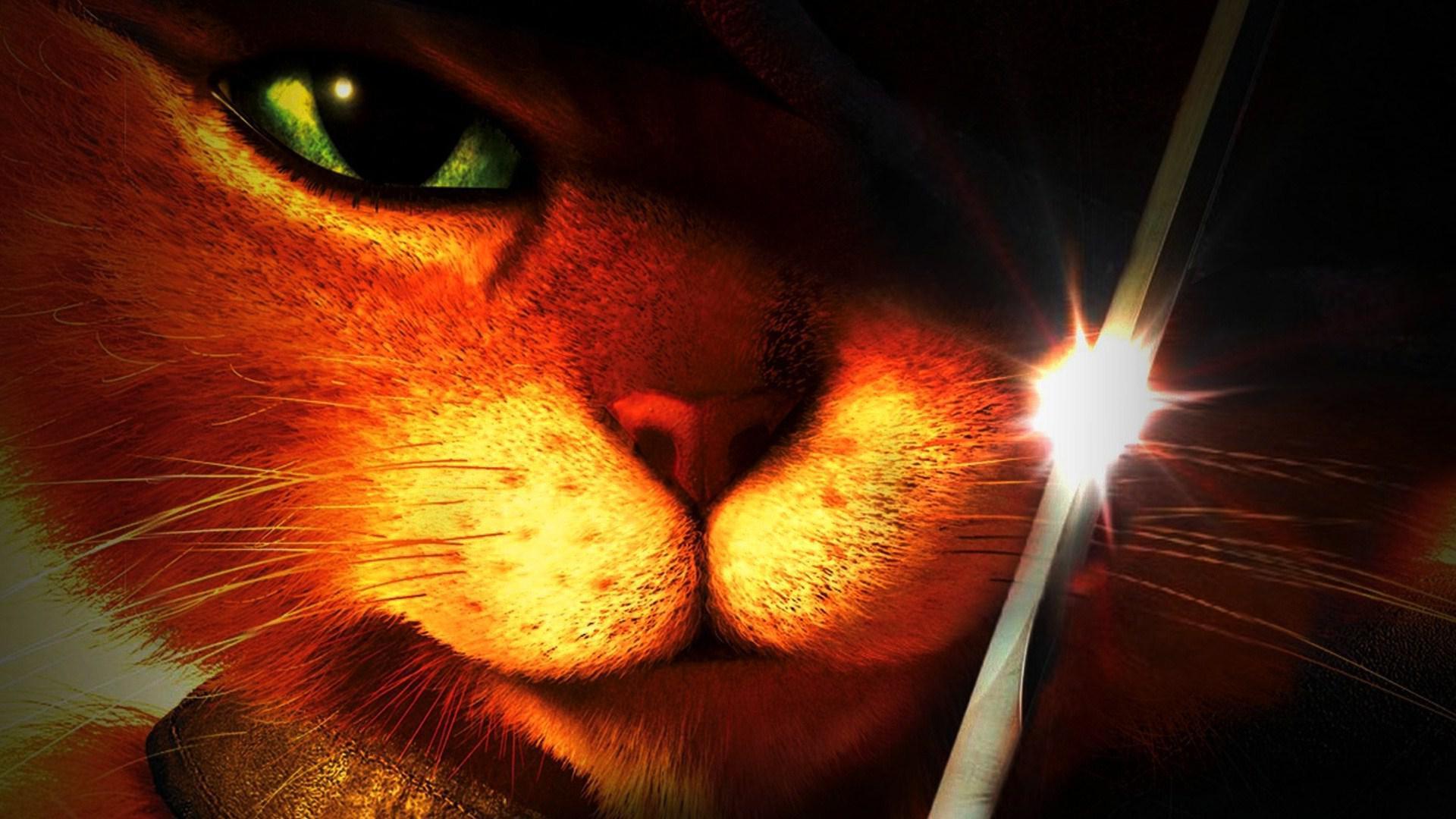 1920x1080 Puss in Boots Background. Boots