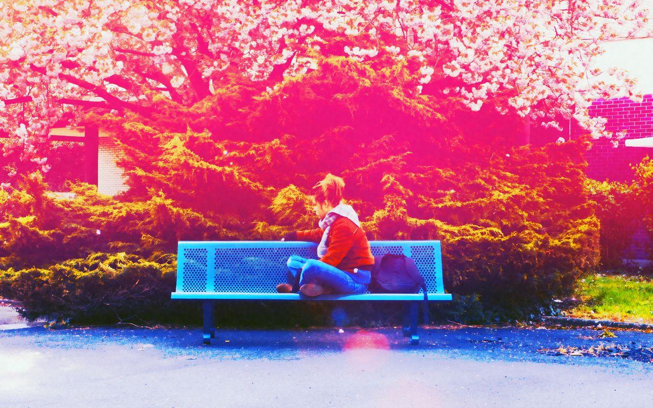 Blue Is the Warmest Color Wallpapers Top Free Blue Is the Warmest