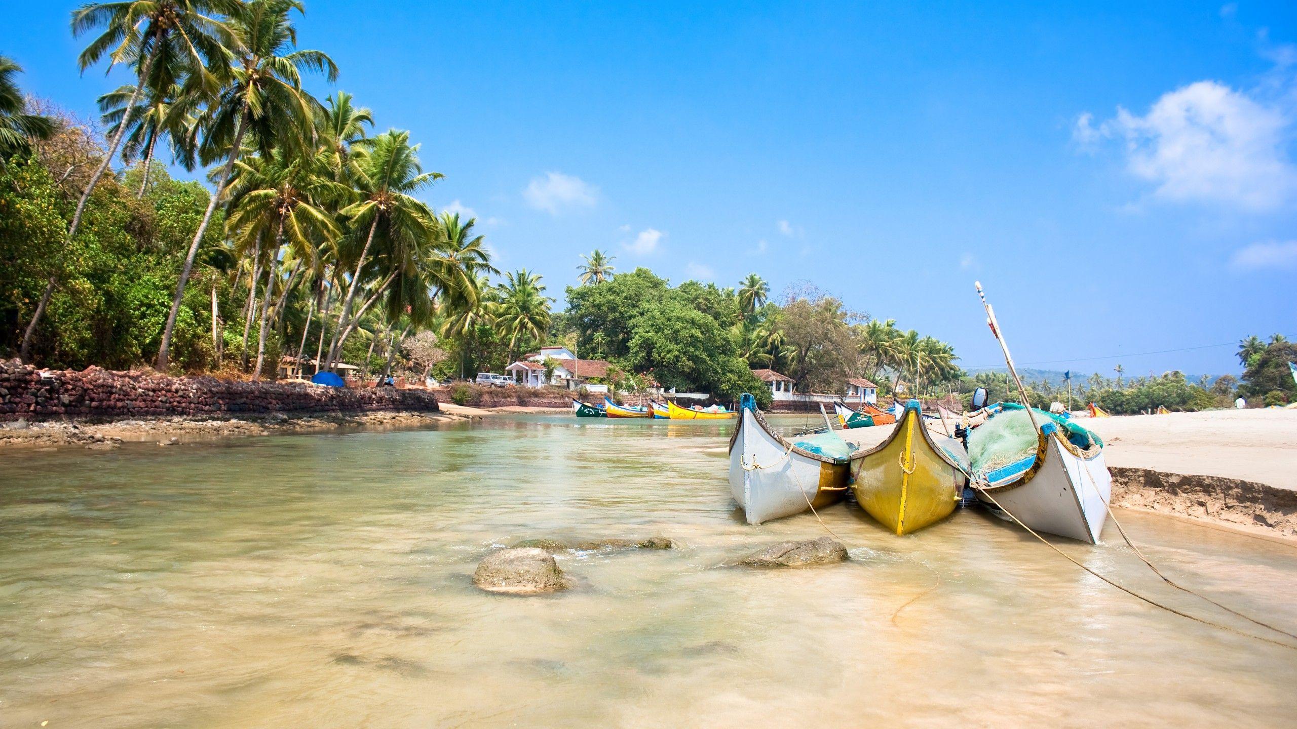 2560x1440 Wallpaper Goa, 5k, 4k wallpaper, India, Indian ocean, palms, boats