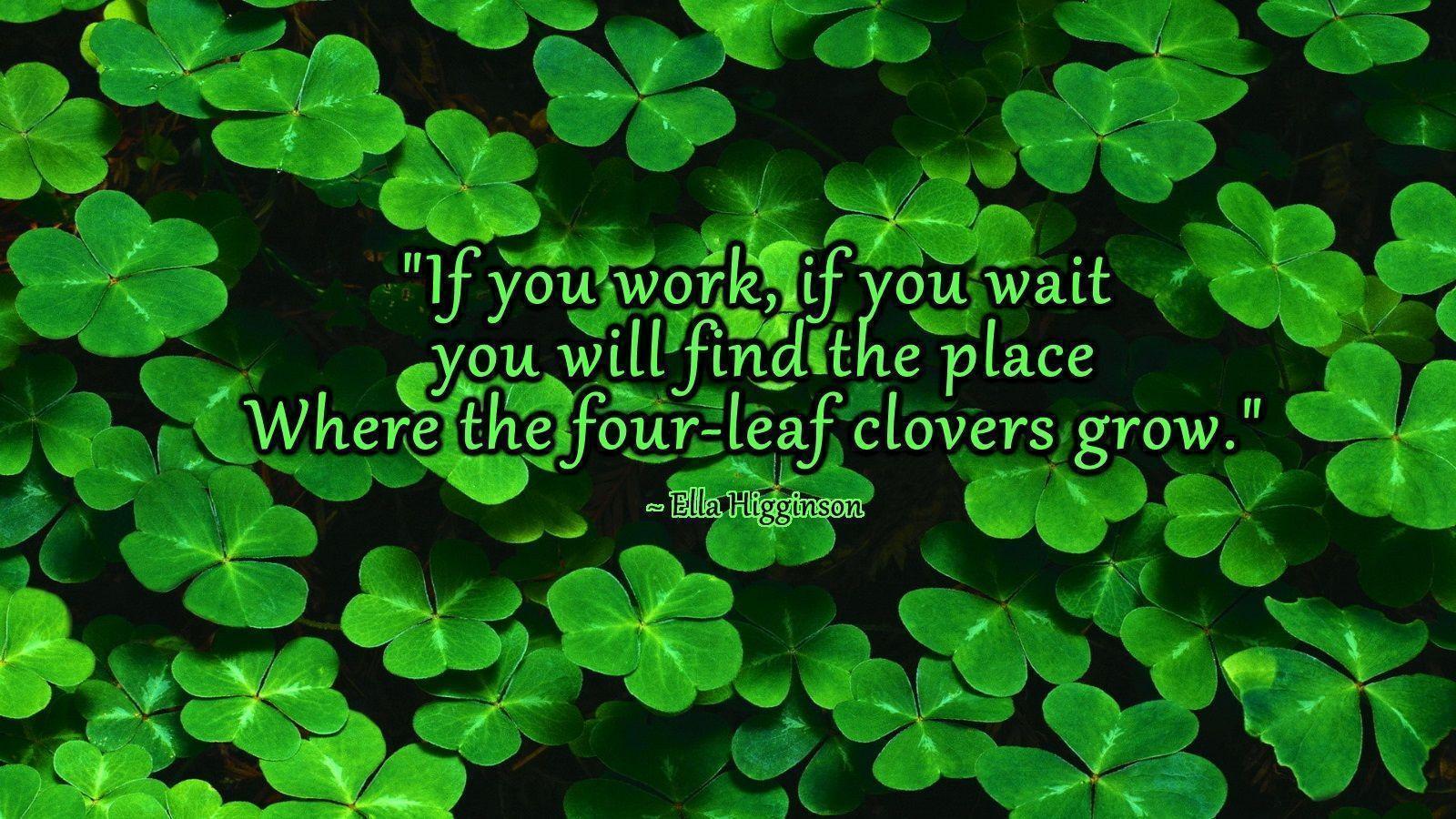 1600x900 Four Leaf Clover Wallpaper