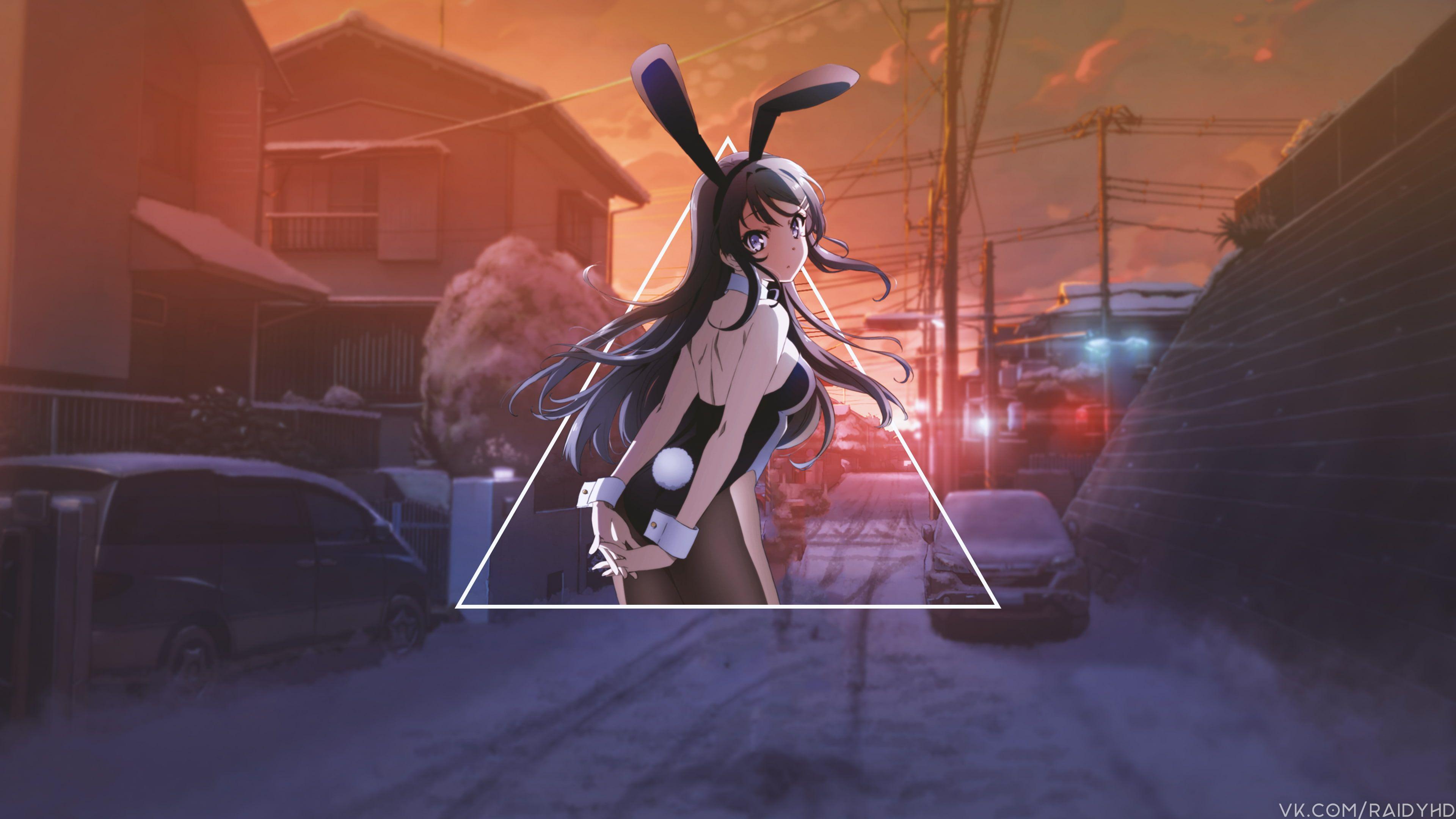Rascal Does Not Dream Of Bunny Girl Senpai  Mai Sakurajima  Sakuta  Azusagawa HD wallpaper download