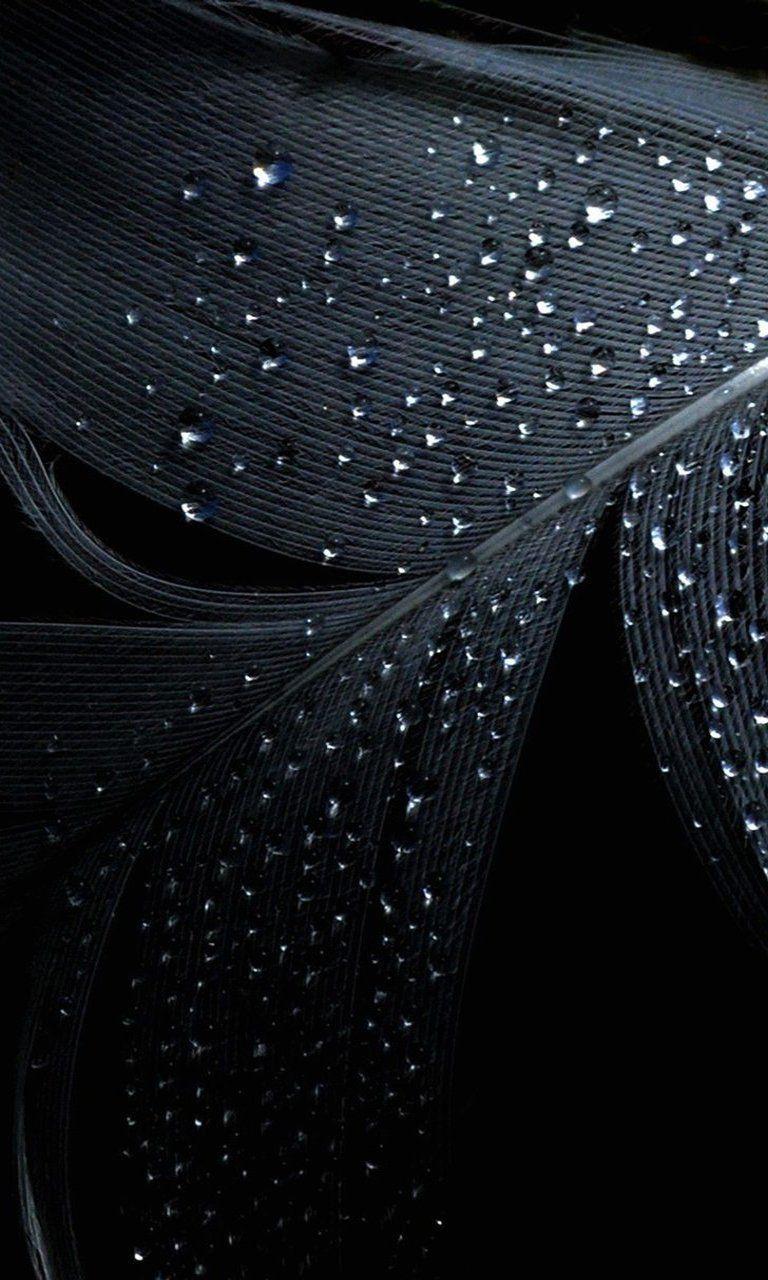 768x1280 Free download Wallpaper nokia lumia blackberry z10 feather black