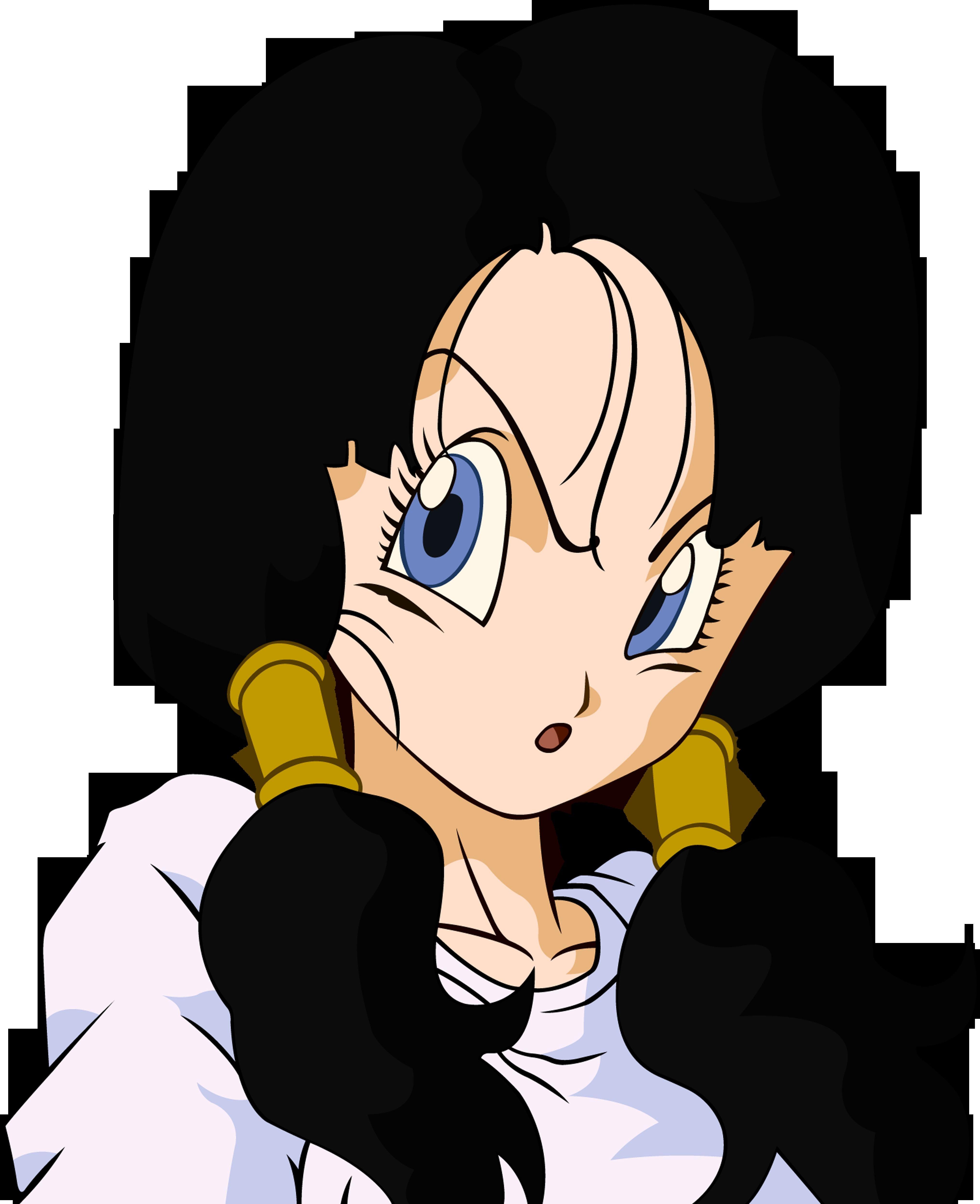 4069x5000 Download 4069x5000 Videl dragon ball dragon ball z 4069x5000 wallpaper