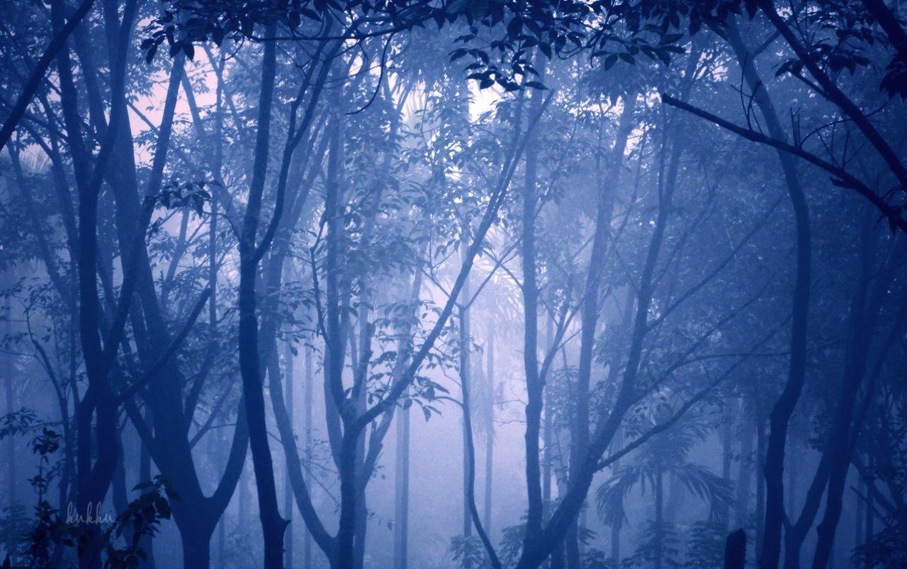Misty Wallpapers Top Free Misty Backgrounds Wallpaperaccess