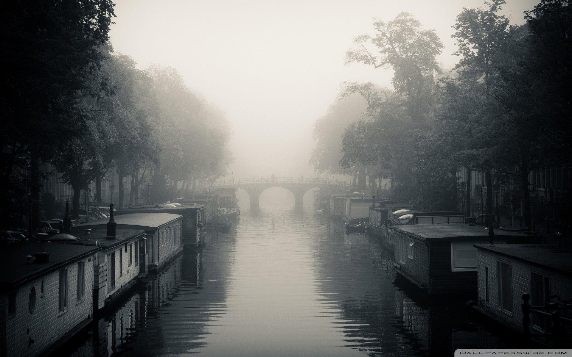 1920x1200 Misty Wallpaper
